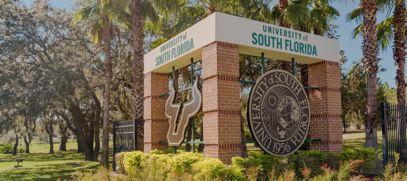 How the USF College of Nursing Leveraged Peer Tutoring to Enhance Education and Professional Development